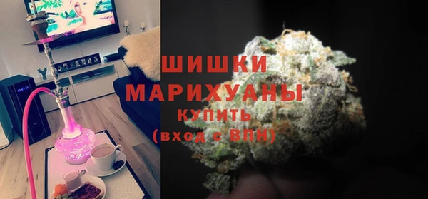 индика Баксан