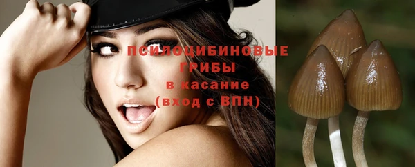индика Баксан