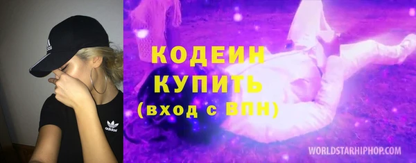 индика Баксан